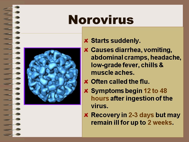 Norovirus  Starts suddenly.  Causes diarrhea, vomiting, abdominal cramps, headache, low-grade fever, chills